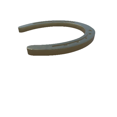 Horseshoe (1)